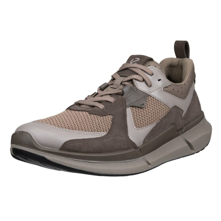 ECCO Biom 2.2 Sneakers (ECCO leather) brown/grey men's