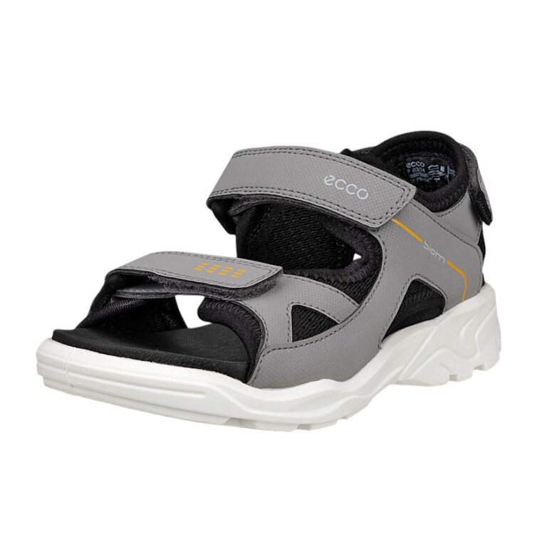 ECCO Biom Raft Sandal (Velcro) grey children