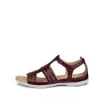 ECCO Flash Roman Sandal (Full Grain Leather) Burgundy Red Ladies