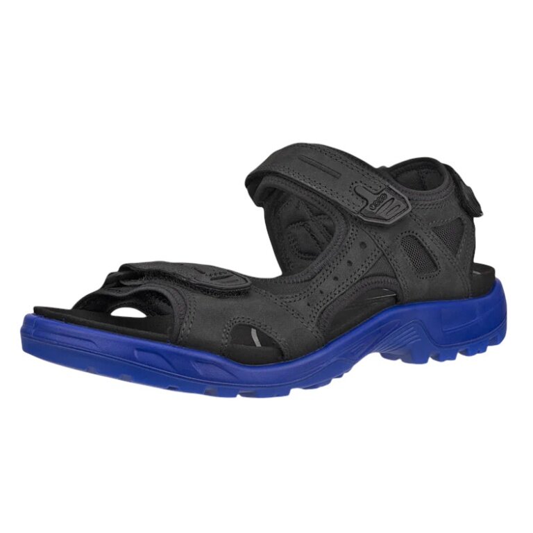 ECCO Yucatan Sandal (Offroad) Leather black/blue Men's