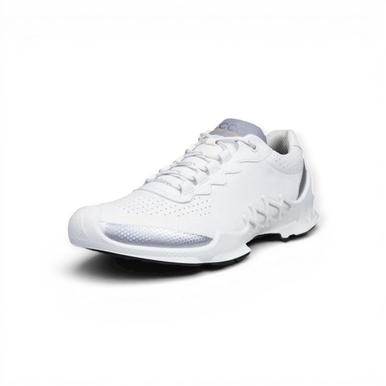 ECCO Sneaker BIOM Aex (full-grain leather) white/silver men's