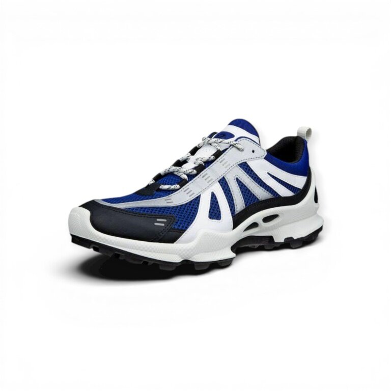 ECCO Sneaker BIOM C-Trail black/blue/silver men's