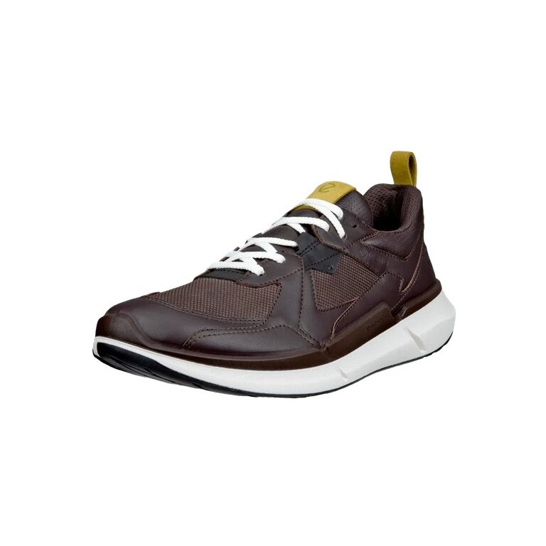 ECCO Sneaker Biom 2.2 GTX (Premium Leather, waterproof) dark brown men's