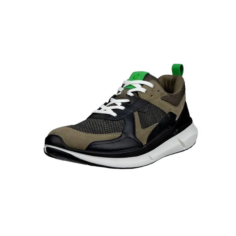 ECCO Sneaker Biom 2.2 (ECCO Leather) sage green/black Men's