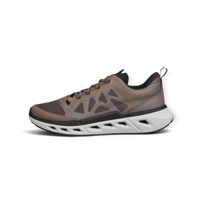 ECCO Biom 720 Brown Sneakers for Men