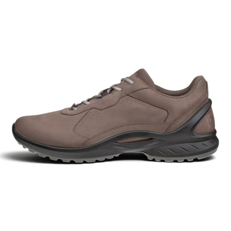 ECCO Biom Energi Sneakers (Premium Leather) brown men's
