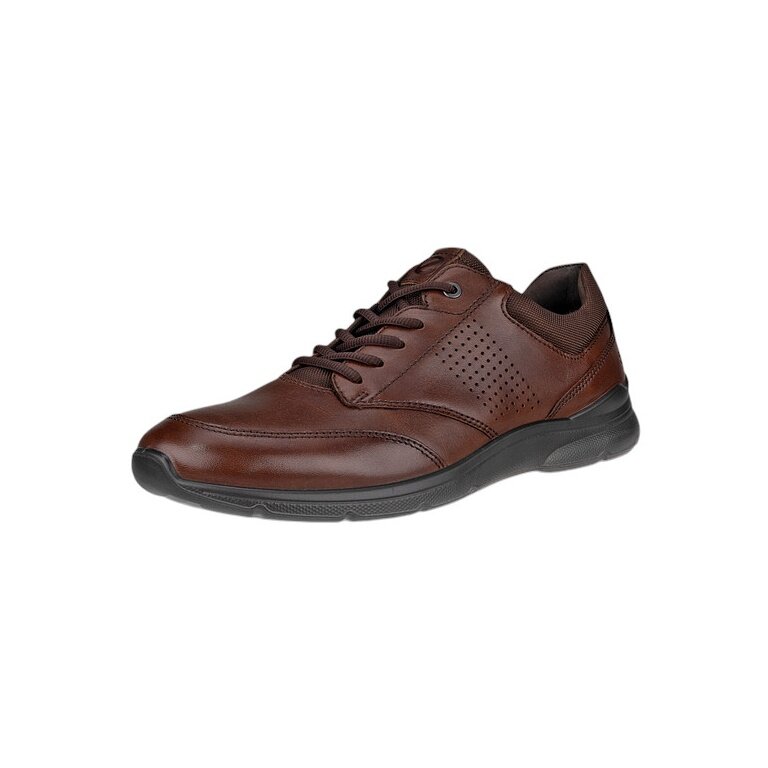 ECCO Sneaker Irving Low Lace (full-grain leather) dark brown men's