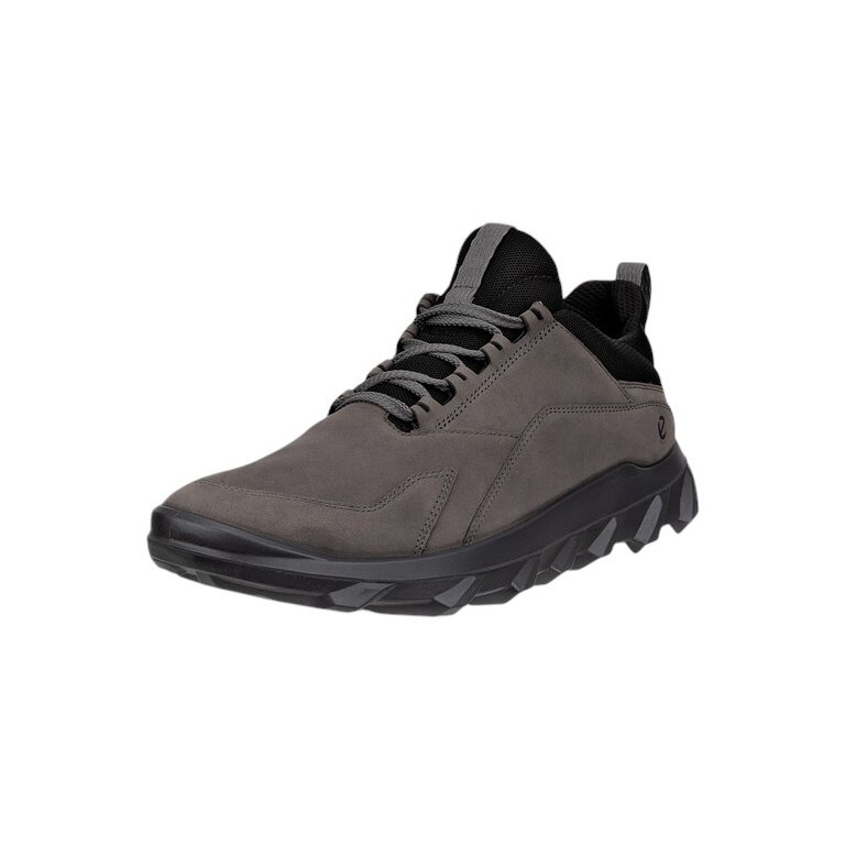 ECCO Sneaker Mx Low Lea (Nubuck leather) grey men's