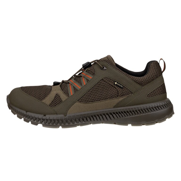 ECCO Terracruise II TEX GTX Hiking Shoes 2025 (waterproof, durable sole) green men's