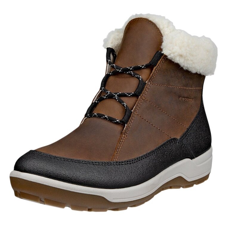 ECCO Trace Lite Ankle Boots (Nubuck Leather, Waterproof) brown/black ladies