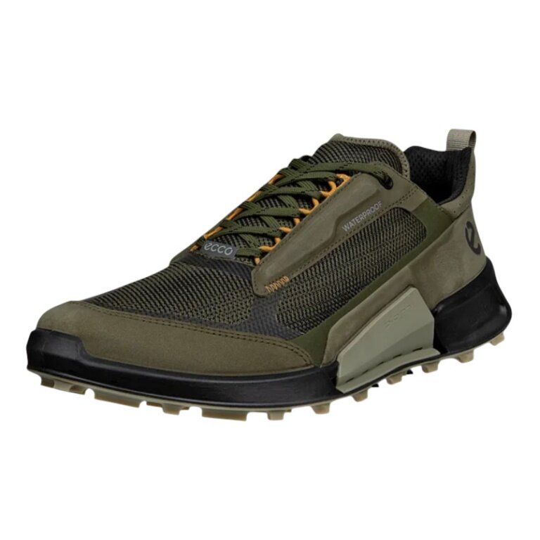 ECCO Biom 2.1 X Mountain Low Hiking Shoes (waterproof, nubuck leather) green men's