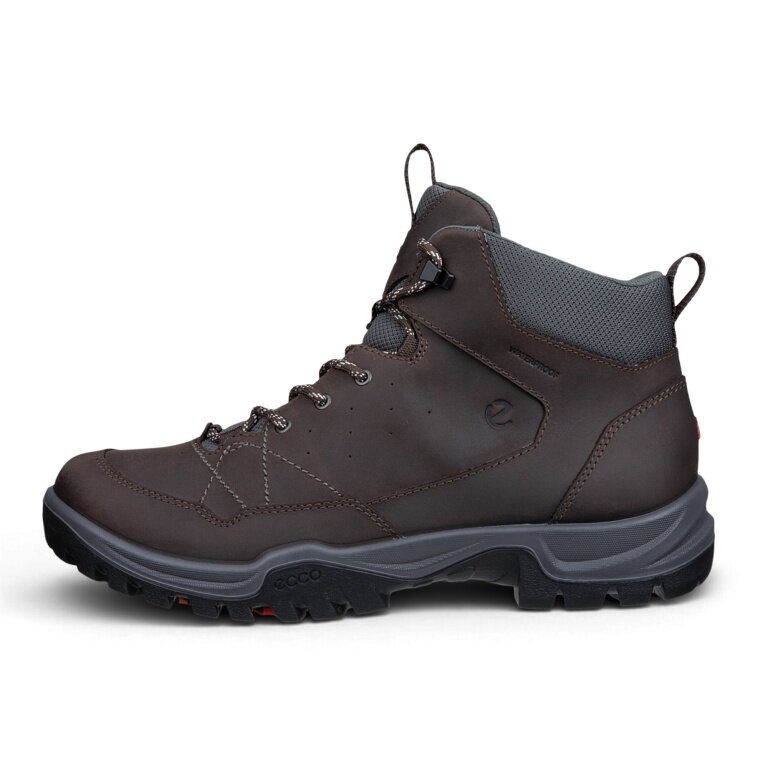 ECCO Receptor Trekk WP Walking Shoes (Nubuck Leather, Waterproof) Dark Brown Men's
