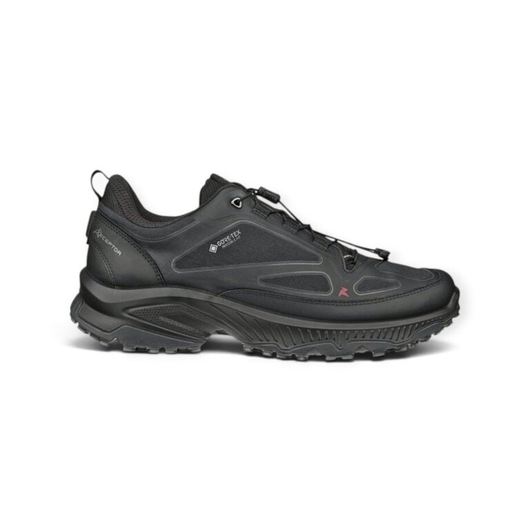 ECCO Receptor XP GTX Walking Shoes (Premium Leather, Waterproof) Black Men's