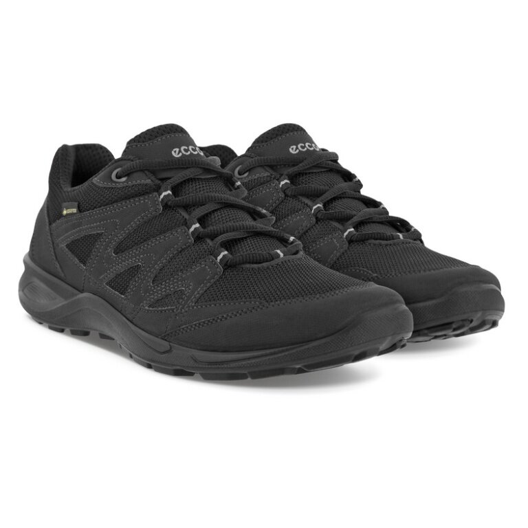 ECCO Hiking Shoes Terracruise LT (waterproof, lightweight and flexible sole) black Women