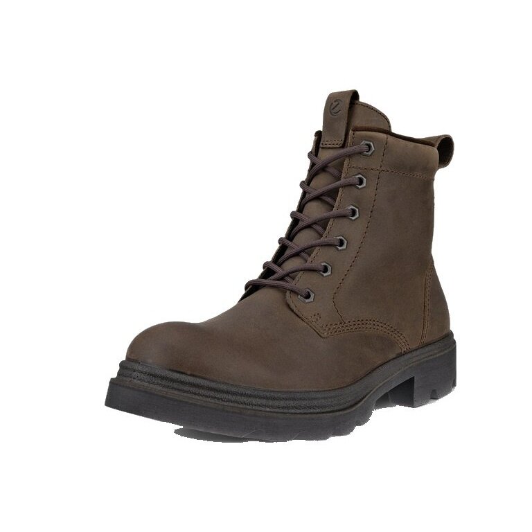 ECCO Winter Boots Grainer 6IN Boot Warm (Ecco Leather, water-repellent and warm) dark brown Women