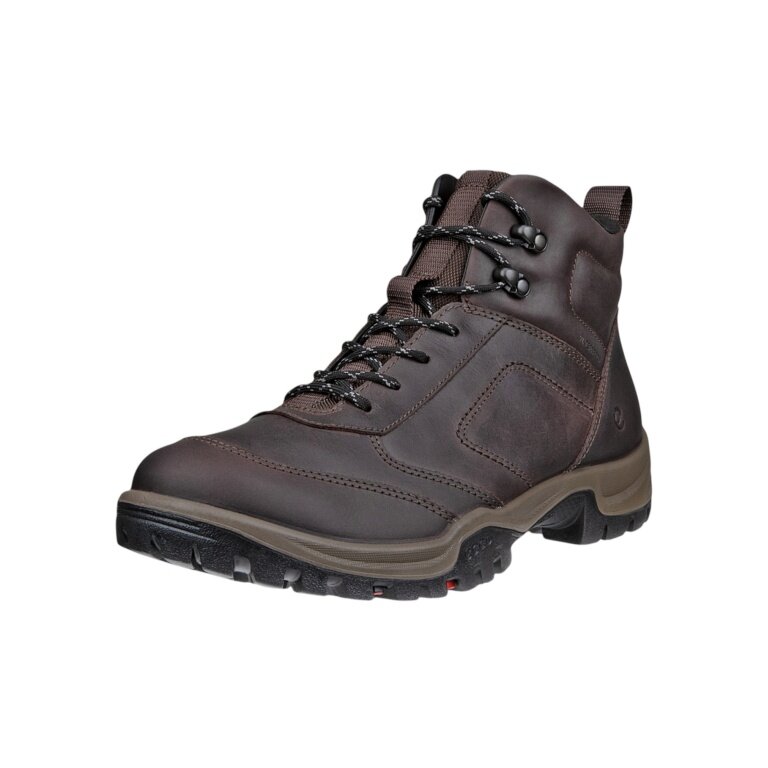 ECCO Xpedition III WP Hiking Boots (Premium Leather, Waterproof) brown men's