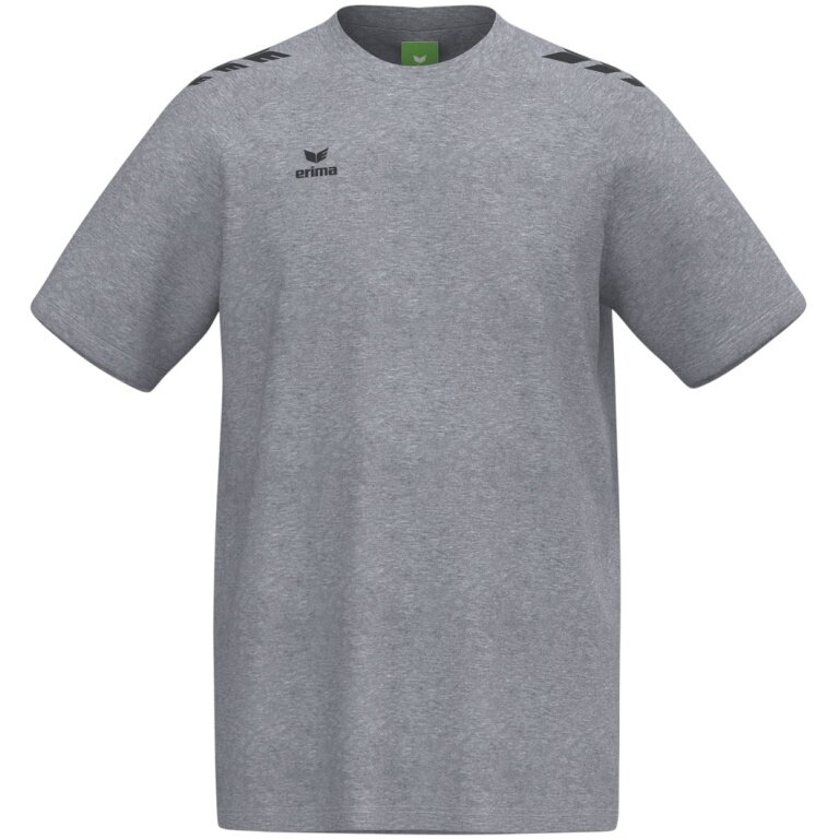 Erima Sport T-shirt CMPT 3 Wings (mixed fabric, quick-drying) grey men's