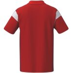 Erima Tennis Polo Celebrate 125 Function (100% recycled polyester, quick-drying) red men's