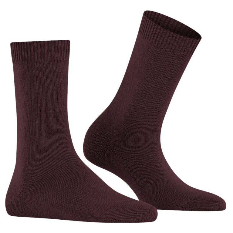 Falke Daily Sock Cosy Wool (soft cashmere, temperature-regulating merino wool) 2025 bordeaux ladies - 1 pair