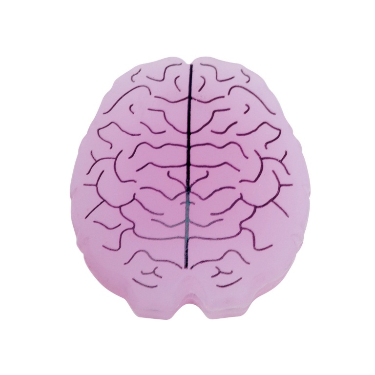 Gamma Vibration Dampener Brain Single