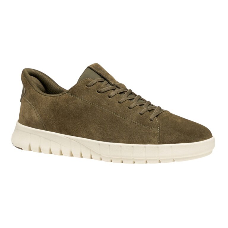 Geox Sneaker Flextride Plus (suede) khaki green men's