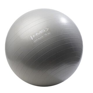 HMS Gymnastics Ball YB02N Anti-Burst 75cm - grey