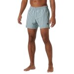Helly Hansen Newport Swim Trunk - green/white men's swim shorts