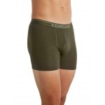 Icebreaker Boxershort Anatomica (Merino Wool) Underwear loden green Men