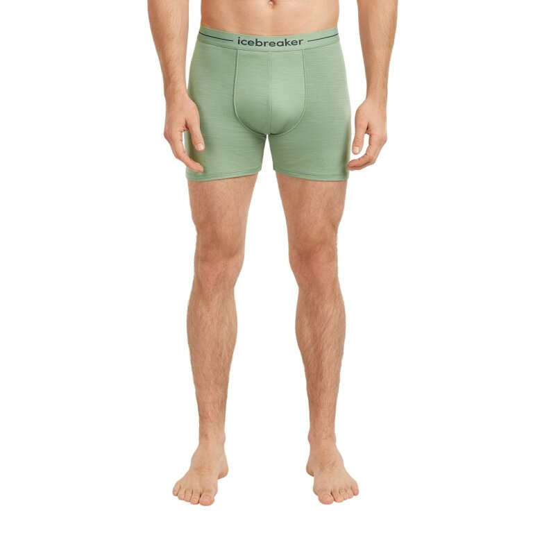 Icebreaker Anatomica Boxershorts (Merino Wool) Underwear Sea Green Men's