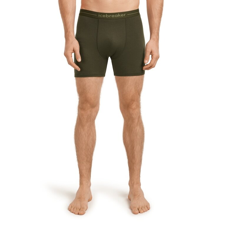 Icebreaker Anatomica Boxershorts (Merino Wool) Underwear Loden Dark Green Men's