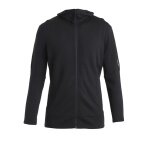 Icebreaker Hooded Jacket Merino 260 Quantum IV Zip-Hoodie (100% Merino Wool) black men