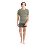 Icebreaker Underwear T-shirt Anatomica SS Crewe (Merino Wool) loden green Men's