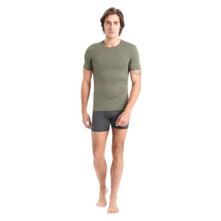 Icebreaker Underwear T-shirt Anatomica SS Crewe (Merino Wool) loden green Men's