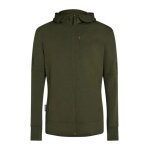 Icebreaker Merino 260 Quantum IV Zip Hoodie (100% Merino Wool) green men's