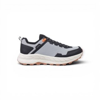 Icepeak Aska LC MR Hiking Shoes (waterproof) grey Men's