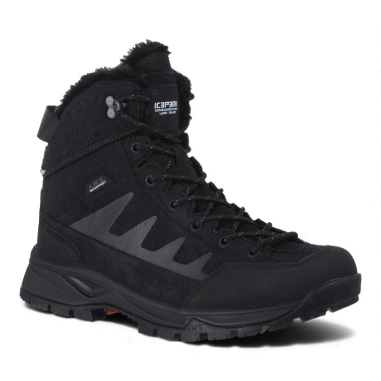 Icepeak Winter Shoes Arezzo (warmly lined, waterproof) black men's