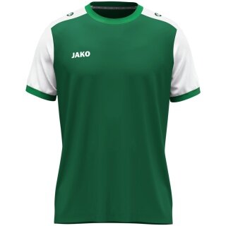JAKO Sport T-shirt Dynamic Jersey (Polyester Micro Mesh) green/white men's