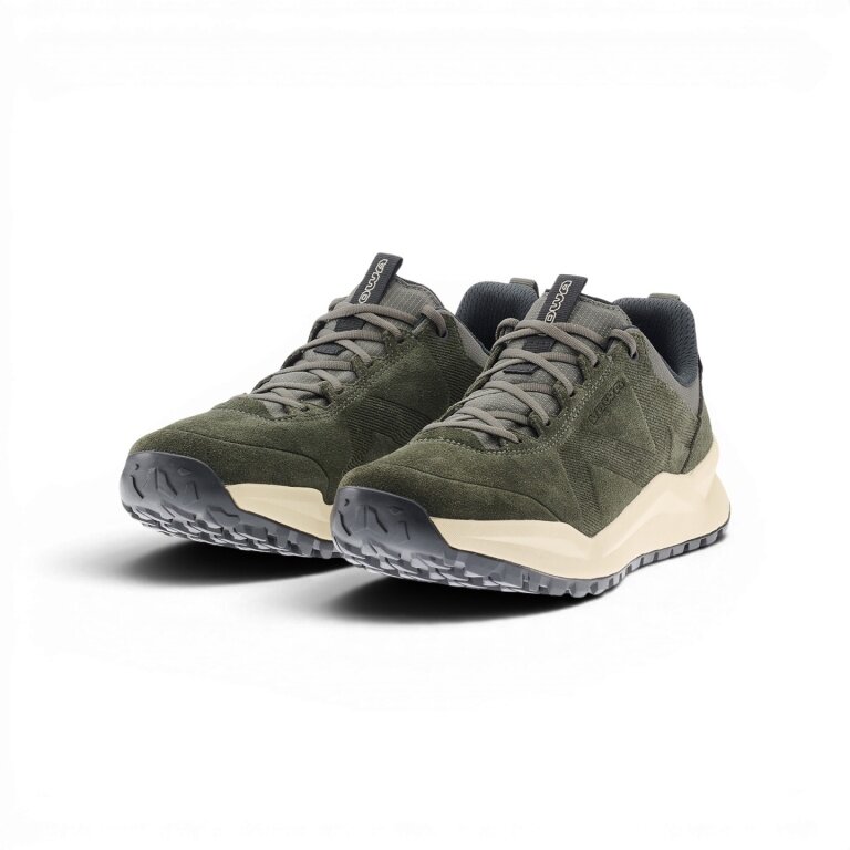 Lowa Everyday Travel Shoes Kaloya LT GTX (Suede/Textile, waterproof) olive green men's