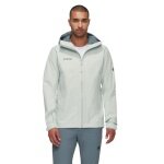 Mammut Hardshell Hiking Jacket Treeline HS Hooded (2-layer, waterproof, windproof) silver/grey men's