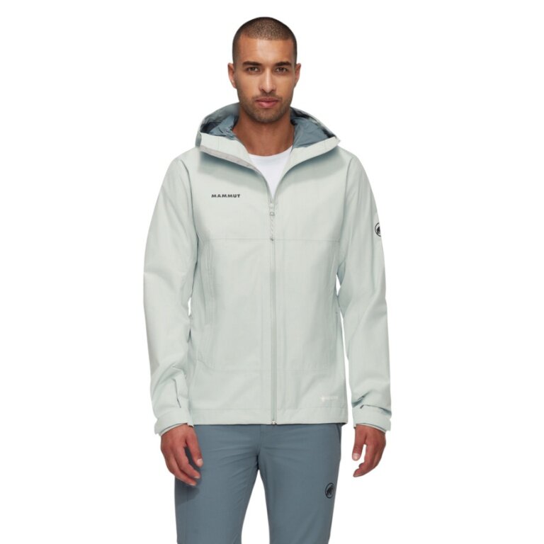 Mammut Hardshell Hiking Jacket Treeline HS Hooded (2-layer, waterproof, windproof) silver/grey men's