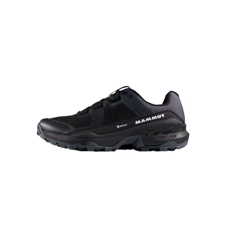 Mammut Girun II Low GTX Hiking Shoes (Multifunctional, waterproof) black/steel grey men's