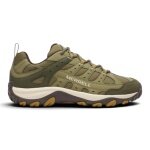 Merrell Accentor 4 Sport GTX Hiking Shoes (Synthetic/Mesh, waterproof) olive green men's
