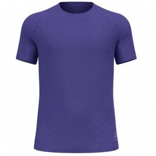 Odlo Sport Leisure T-shirt Essential 365 (lightweight, moisture-regulating) purple men's