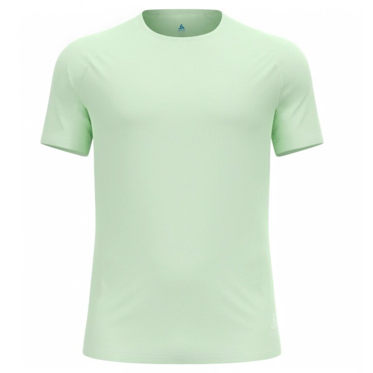 Odlo Sport Leisure T-shirt Essential 365 (lightweight, moisture-regulating) ambrosia lime men's