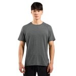 Odlo Sport Leisure T-shirt Essential 365 (lightweight, moisture-regulating) grey men's