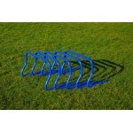 Powershot Training Hurdles Set - 5 pieces 30cm blue