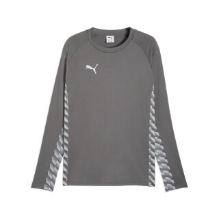 Puma Sport Long Sleeve Shirt teamLIGA26 Training Sweat (100% recycled Polyester, breathable) grey Men's
