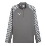 Puma Sport Long Sleeve Shirt teamLIGA26 Training 1/4 Zip Top (100% recycled Polyester, breathable) grey Men's