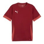 Puma Sports Shirt teamGOAL Matchday Jersey burgundy Men's