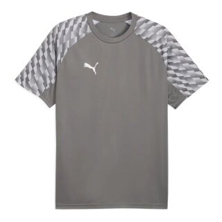 Puma Sports T-shirt teamLIGA26 Jersey (100% recycled Polyester, breathable) grey Men's